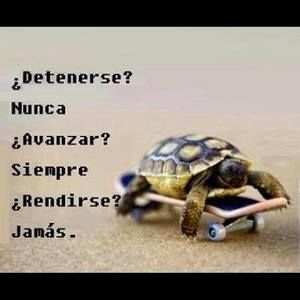 Meet your Posher, Roberto